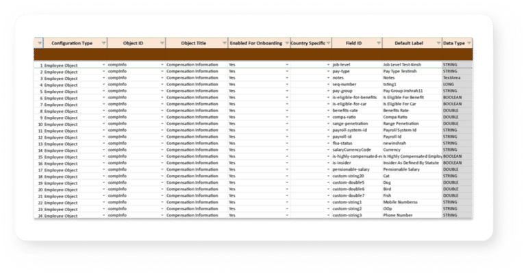 Workbook Builder - CodeBot for SAP SuccessFactors